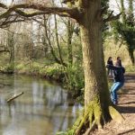 Rope swing over a stream