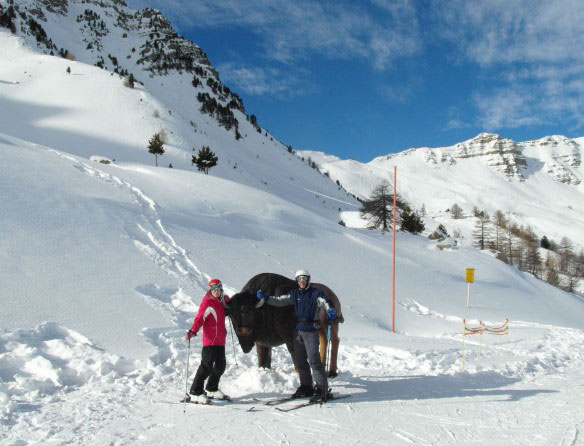 Read more about the article Risoul Ski Trip, 24 – 31 January 2015