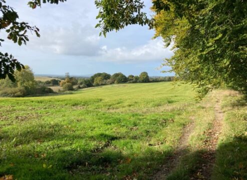 Looking west on the Greensand Way near Tilburstow Hill