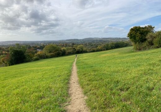 Looking back on a walker climbing the North Downs - Reigate Hill in the background